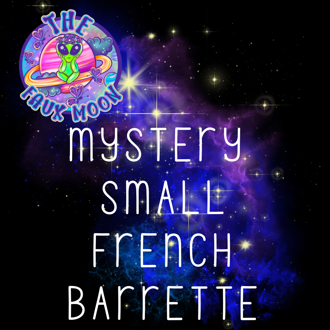 Mystery Small French Barrette